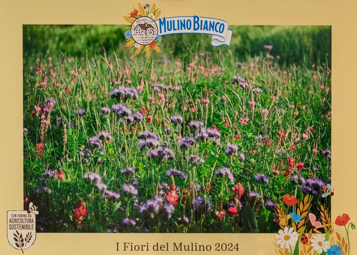 A Parma la IV edizione de 'I Fiori del Mulino'