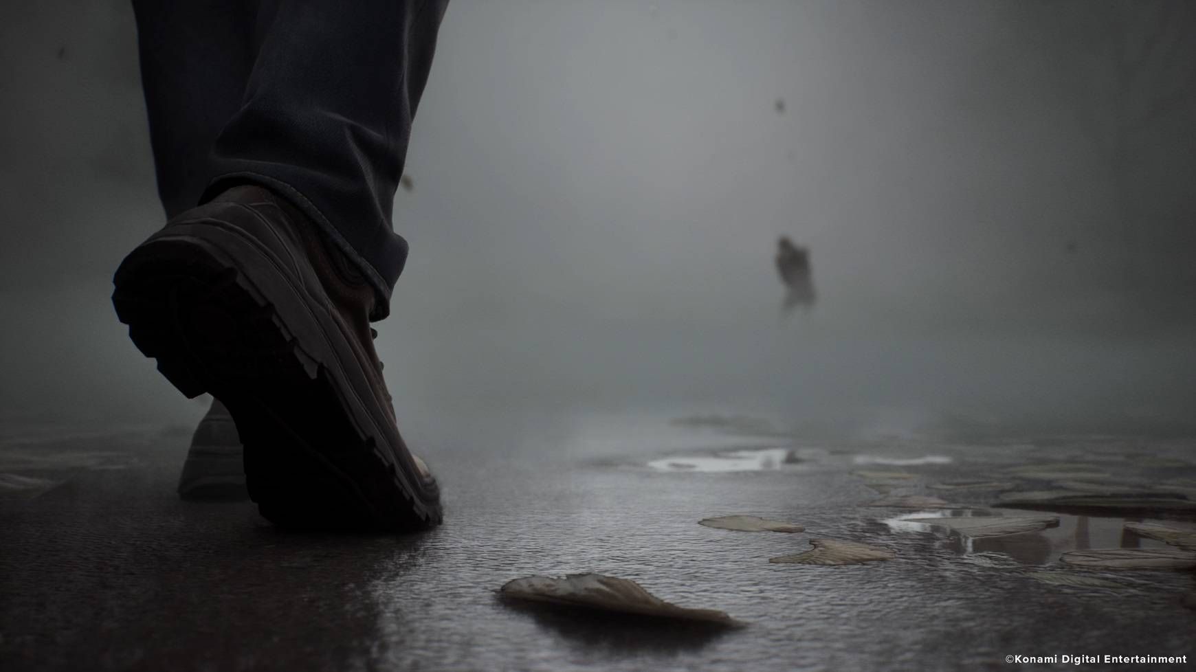 sh2 inthefog cp