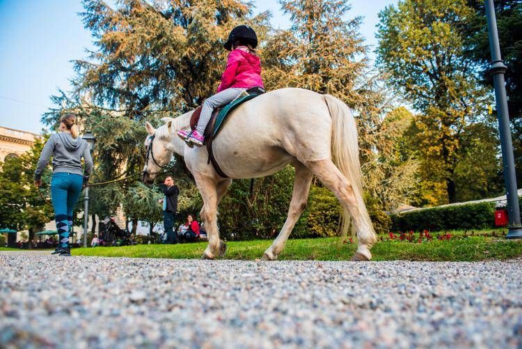 Ippodromo Snai San Siro (pony e bambini)