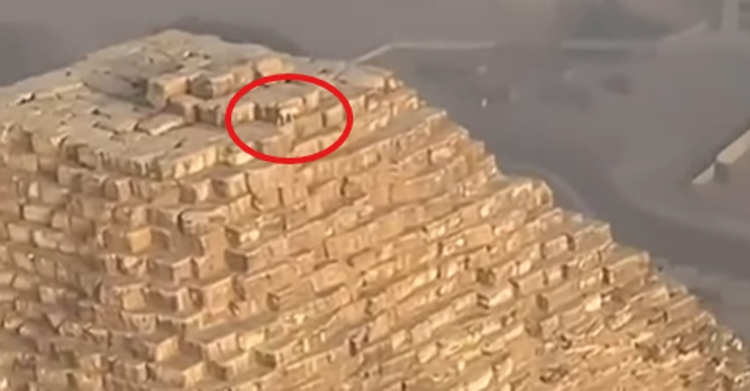 Un cane sulla Grande Piramide di Giza - @alexlang14 / Ig