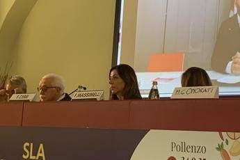 Malattie rare, Massimelli (Aisla):