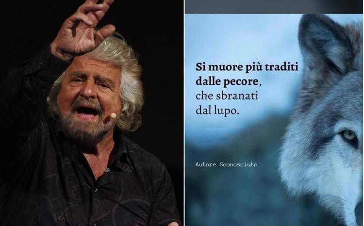 Grillo punge su Whatsapp: "Si muore più traditi dalle pecore che sbranati dal lupo" Grillo punge su Whatsapp: "Si muore più traditi dalle pecore che sbranati dal lupo"