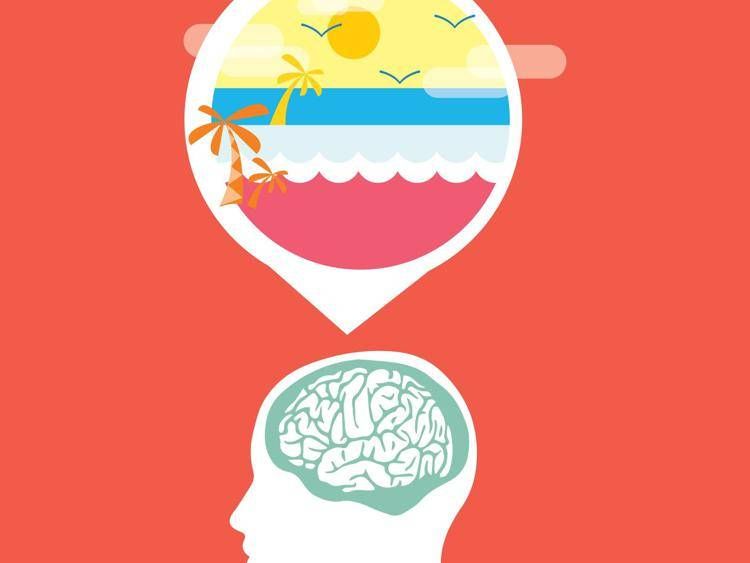 Un'immagine relativa al cervello umano (Foto )