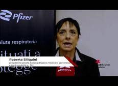 Siliquini (SItI):