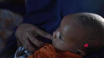 Ghi 2024, quadro allarmante: obiettivo 'fame zero' tra più di 130 anni