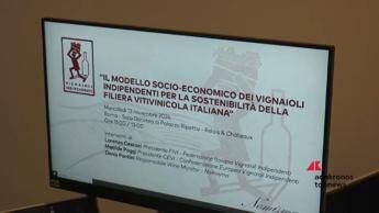Agroalimentare, indagine Nomisma: vignaioli indipendenti caratterizzati da qualità e sostenibilità