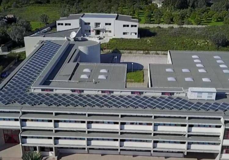 Il liceo Zaleuco   - Immagine dal sito della scuola