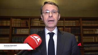 Mandelli (Fofi):