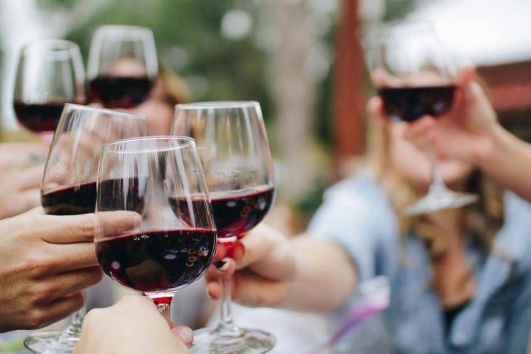 Per un buon vino è questione (anche) di batteri: lo studio dell'Università di Bologna