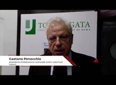 Università, Penocchio: “Necessità di disporre di più medici veterinari”