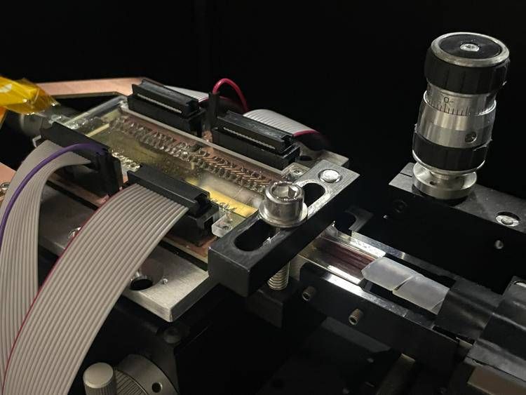 Un circuito in grado di elaborare dati costituiti da singoli fotoni