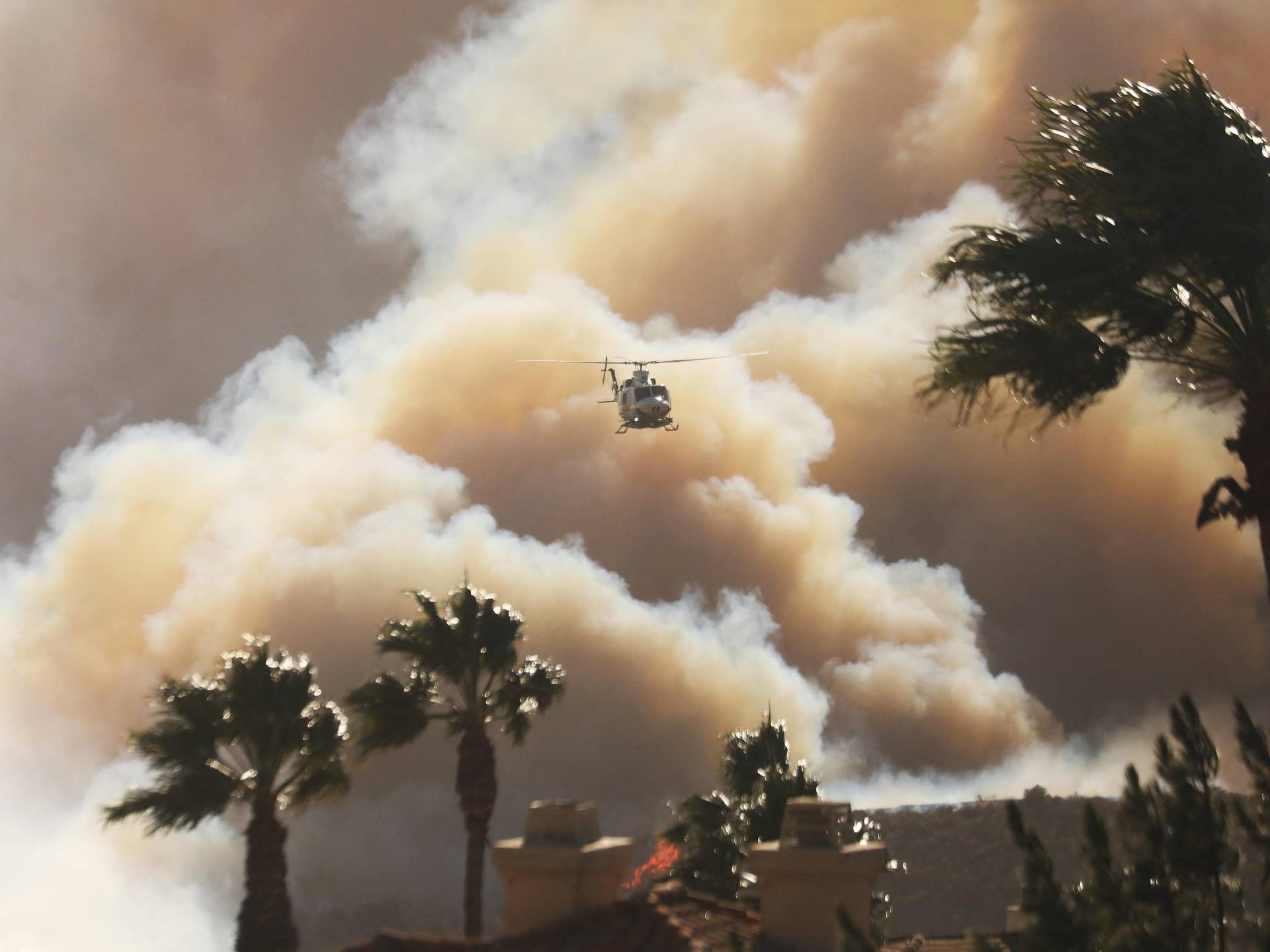 incendio california los angeles afp 7 
