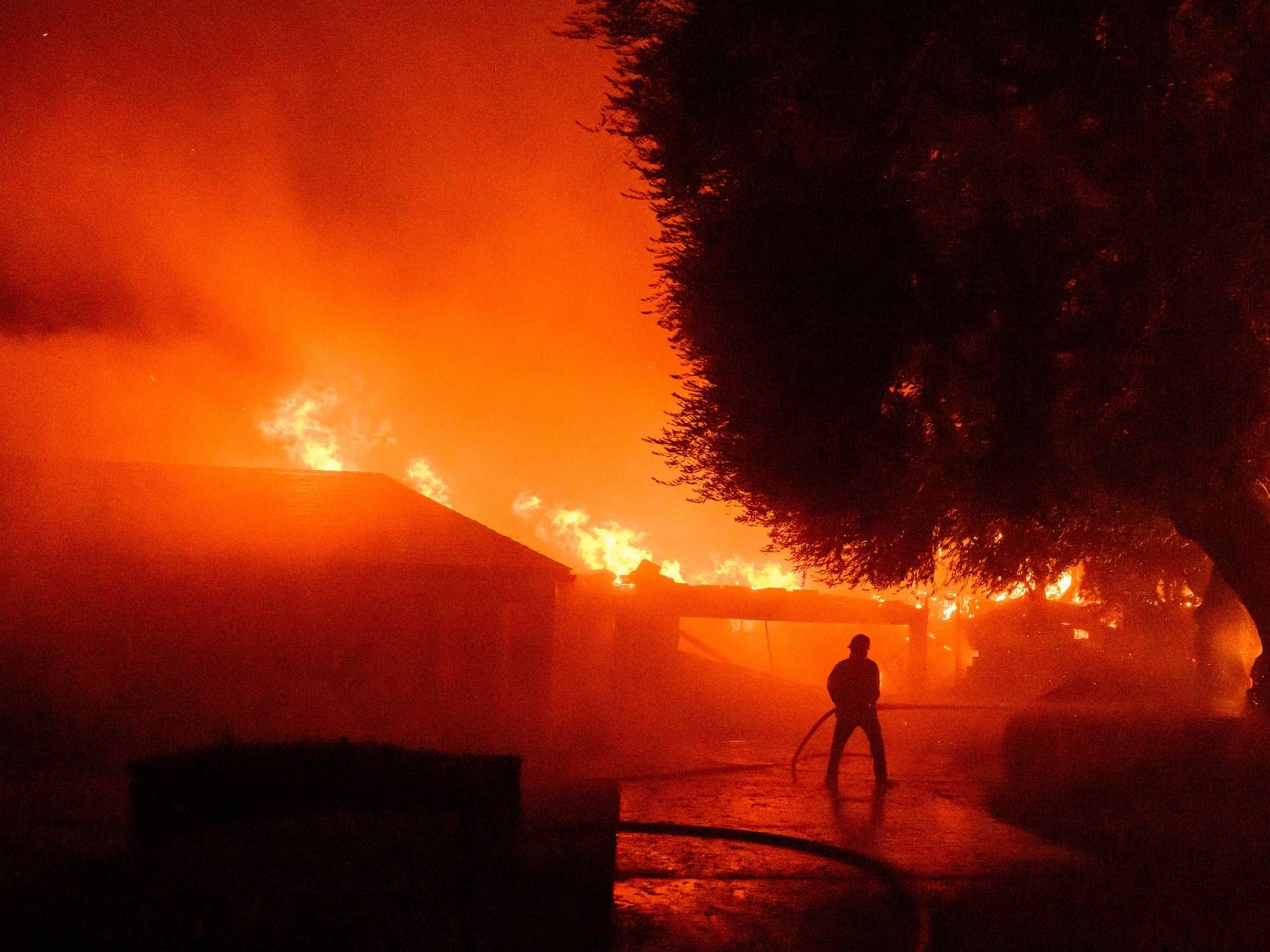 incendio california los angeles afp 4 