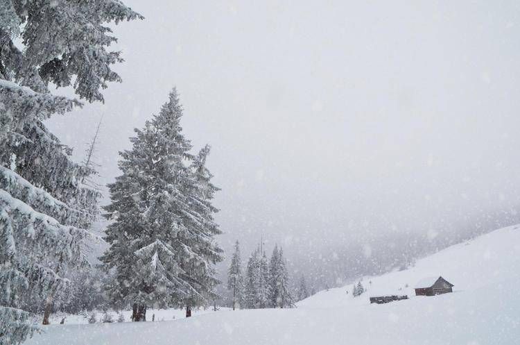 Arrivano neve e freddo, primi tre giorni di gelo sull'Italia: previsioni meteo Arrivano neve e freddo, primi tre giorni di gelo sull'Italia: previsioni meteo