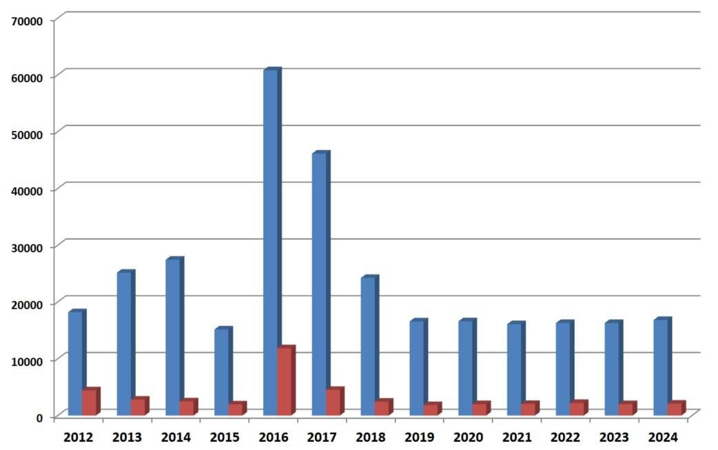 grafico2024