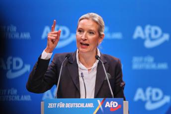 Alice Weidel - (Fotogramma)
