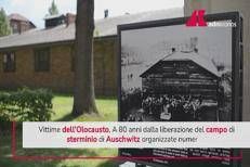 Giornata della Memoria, numerose le iniziative organizzate