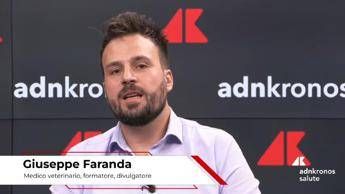 Salute: il veterinario Faranda, ‘per 12 mesi cane e famiglia protetti contro zecche’