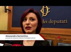 Salute mentale, Sorrentino (AI.Ce): ‘Intergruppo One-Brain iniziativa di grande valore’