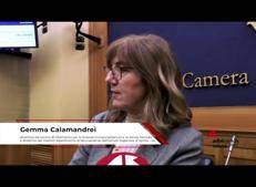 Salute mentale, Calamandrei (Iss): 