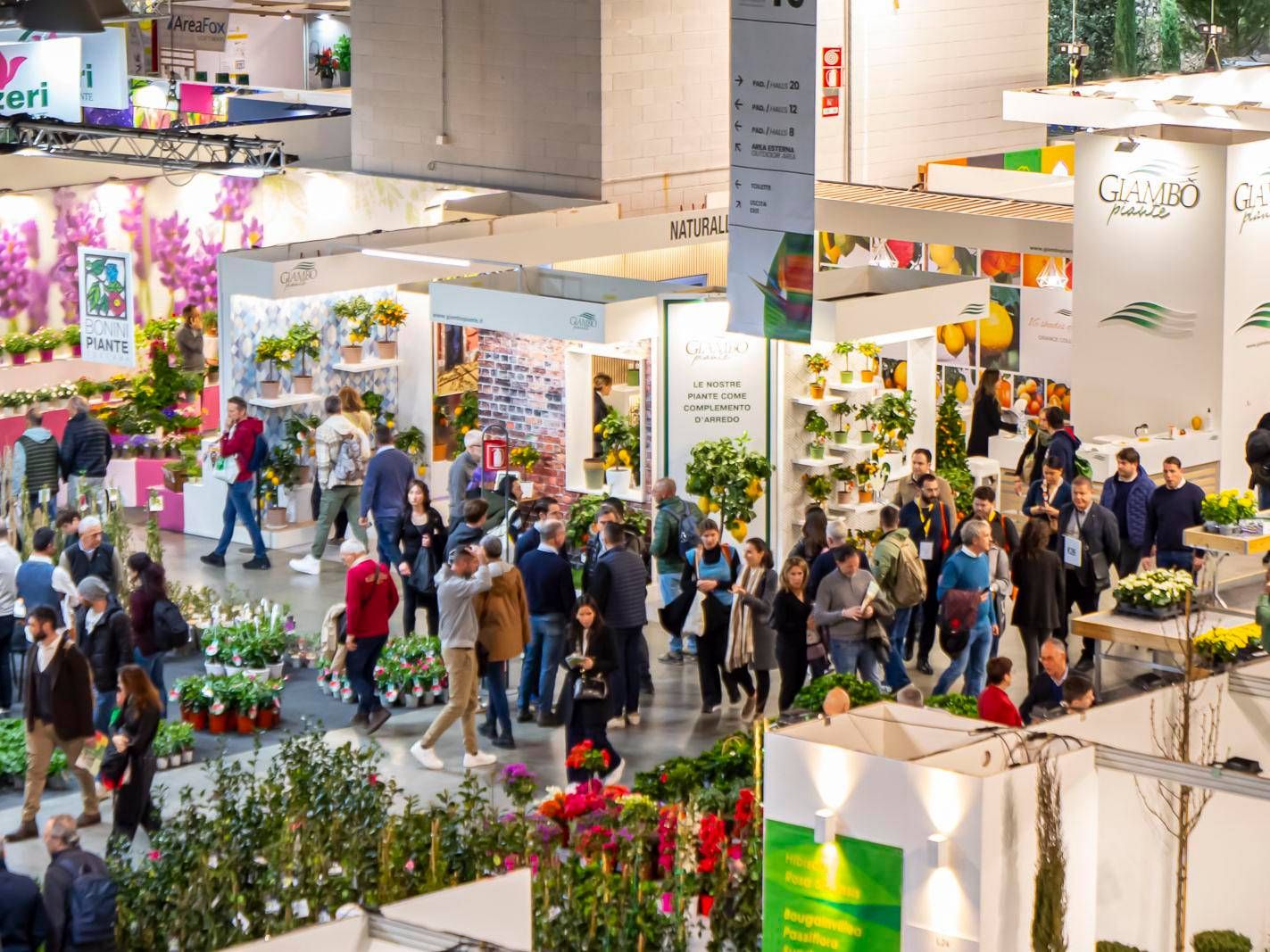 myplant 2025 1 20250212154136