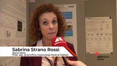 La presidente dell'associazione tossicologi forensi Sabrina Strano Rossi: ”Ancora troppo alcol e troppa cocaina sulle nostre strade”