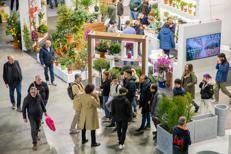 Myplant, FieraMilano Rho si trasforma in giungla sontuosa