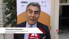 Imprese, Cesareo (Cdc Brindisi-Taranto): “Noi precursori nel campo delle società benefit”