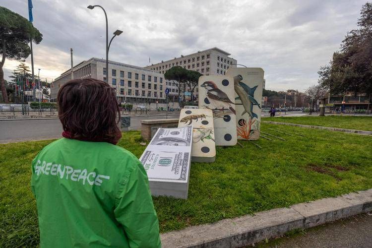 Cop16, Greenpeace in azione: 