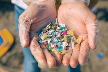 Così le microplastiche minacciano la fertilità delle donne, lo studio