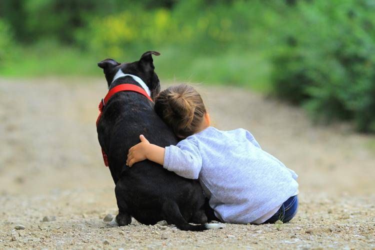 'Non diamo la colpa ai cani', pediatri e veterinari per convivenza sicura con bimbi