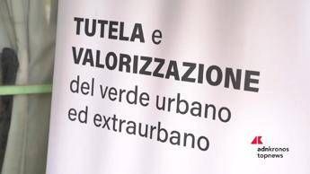 Progetto RiforestAzione: 4,5 milioni di alberi per città più verdi e vivibili