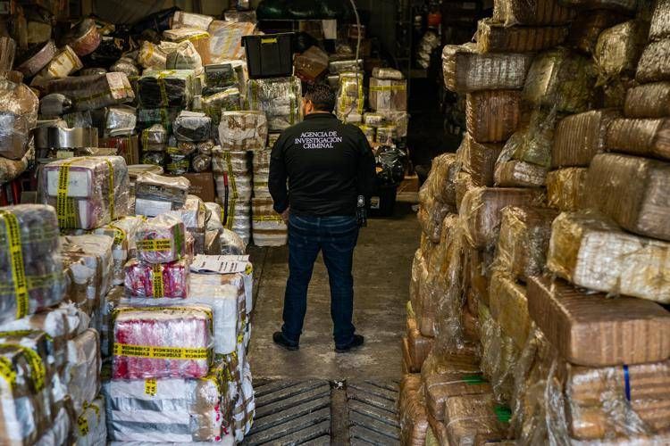 Droga, medico Gatti: 