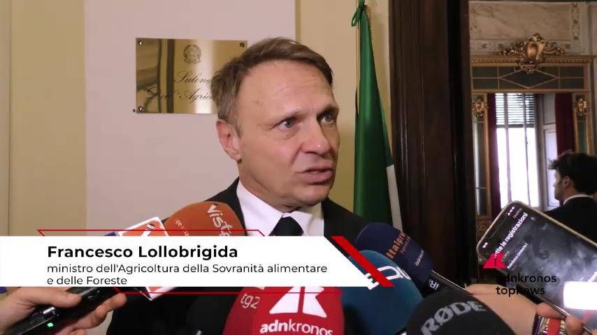 Bakan Lollobrigida (MASAF), 'Depremden etkilenen bölgeyi geliştirin'