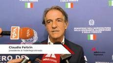 Edilizia, Feltrin (FederlegnoArredo): 