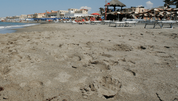 La spiaggia di Ostia