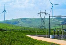 Terna, nel 2024 ricavi a 3,68 mld (+15,5%): utile netto a 1,06 mld (+19,9%)