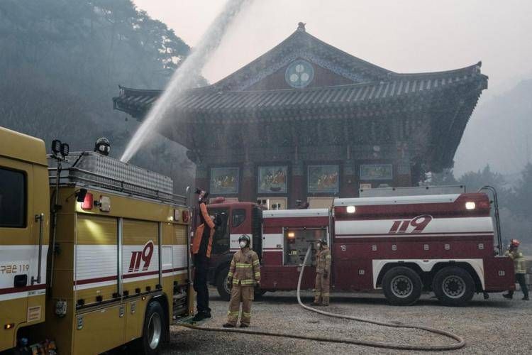 Incendi devastano la Corea del Sud - (Afp)