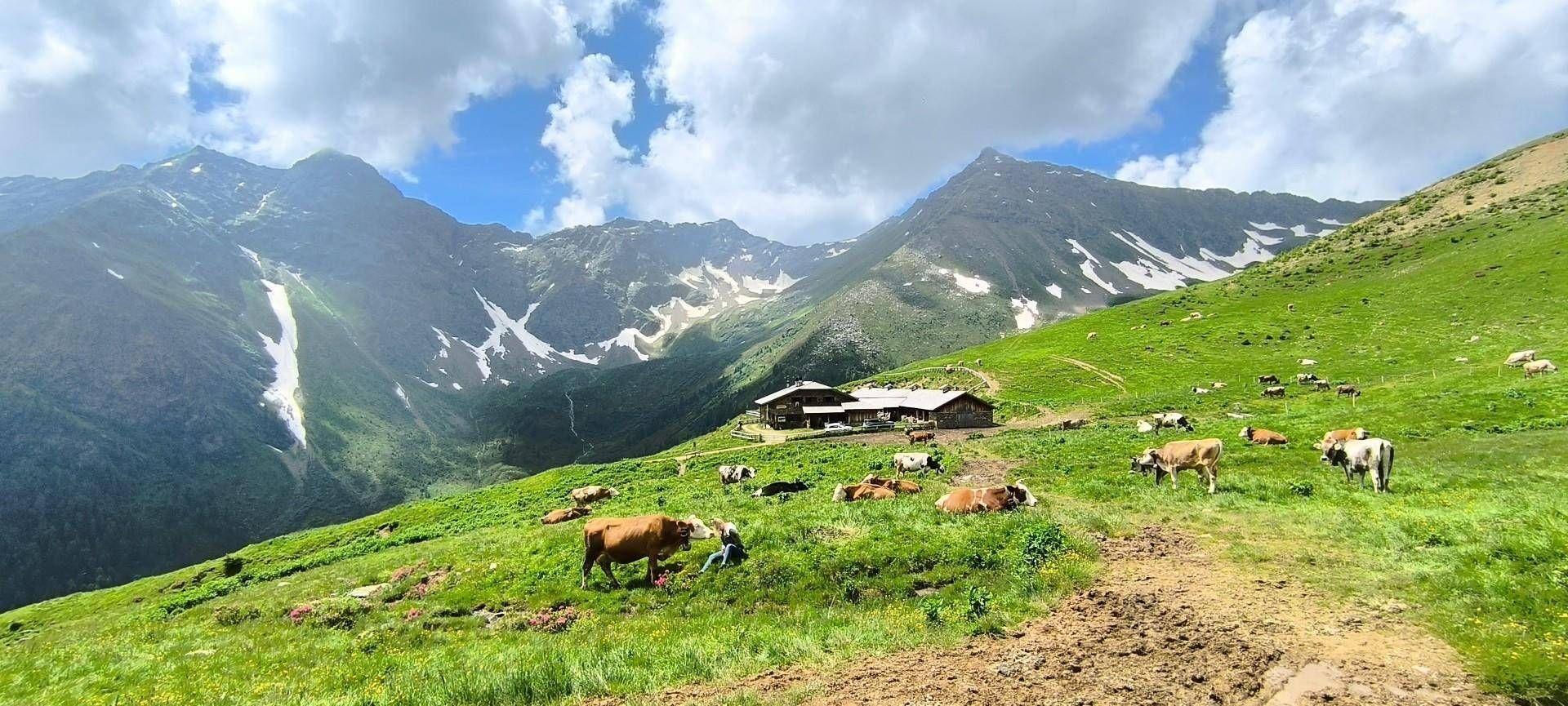 2024 ve ilk aylar 2025 pozitifler, ancak gelecekteki bilinmeyen dolaylı etkiler görevleri