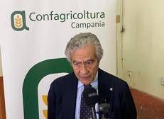 Fabrizio Marzano, presidente di Confagricoltura Campania