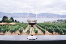 Dazi, tra timori e nuove strategie, dal mondo del vino le testimonianze dei Consorzi da Nord a Sud