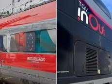 Un Frecciarossa e un Tgv (Ipa)