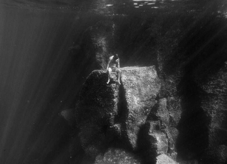  - Le Trésor du Poisson di Viola Damiani