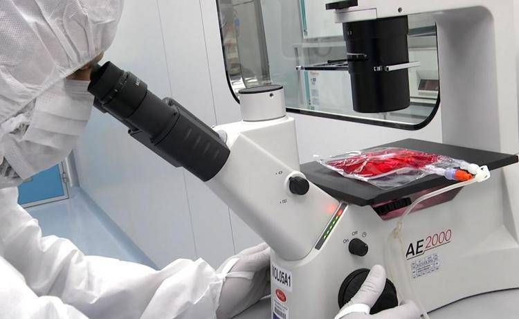 Tumori, in 5 anni di Car-T curati 1.800 italiani: 