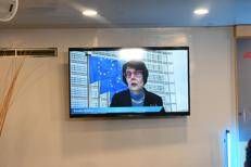 Farmaceutica, Gallina: 