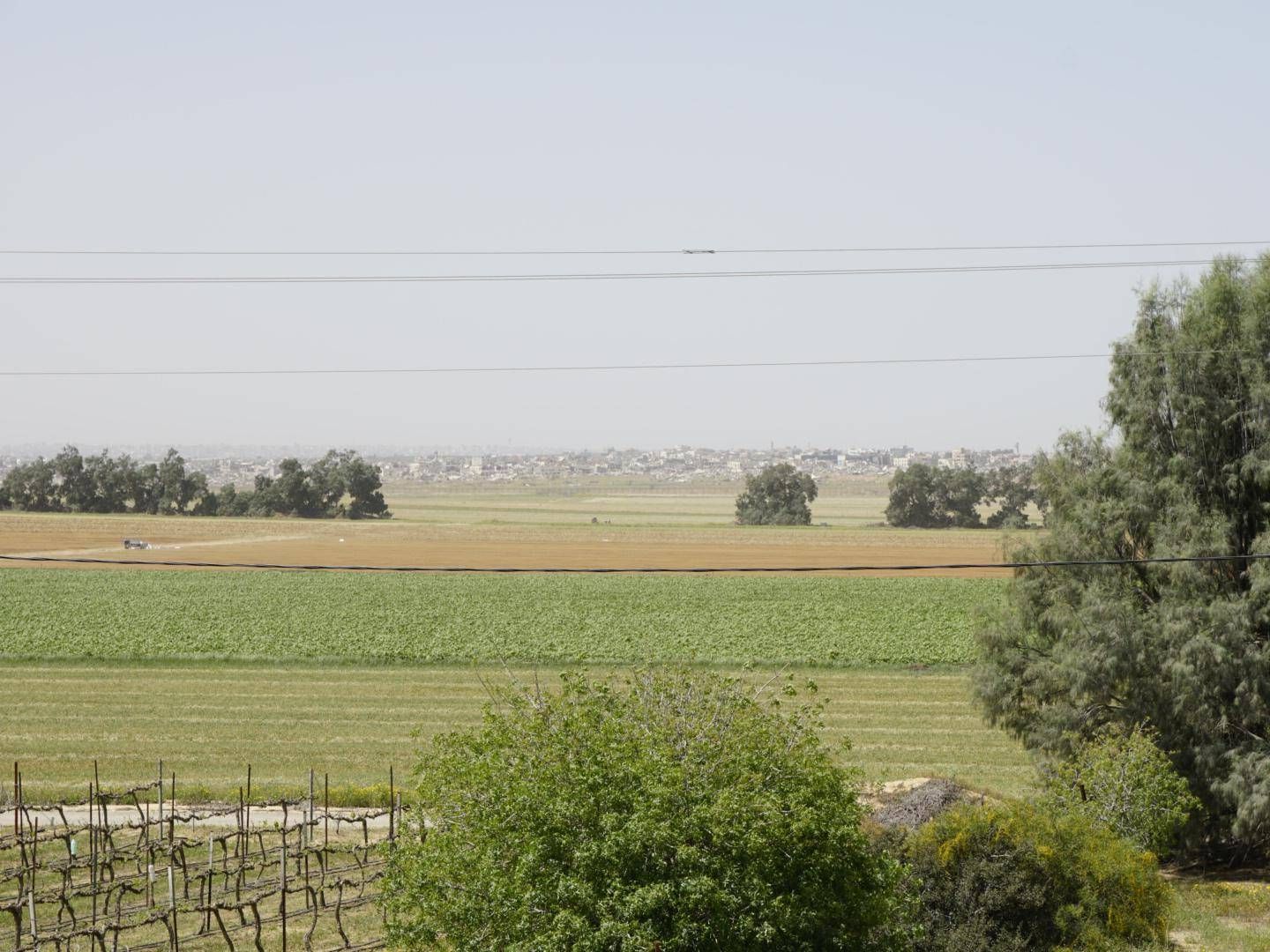 Striscia di Gaza vista dal tetto della casa di Miri e Amitai Ben Zvi, kibbutz Nir Oz, Israele