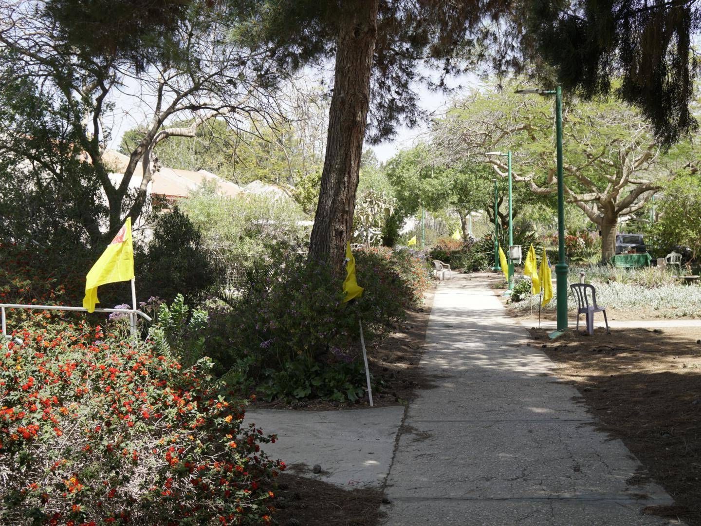 Viale nel kibbutz Nir Oz, Israele. Le bandiere gialle indicano che gli inquilini sono stati rapiti il 7 ottobre 2023