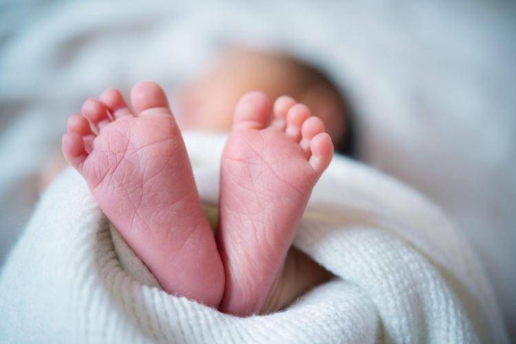 2025 Inps doğumlu yeni bonus, bugünden uygulama: Gereksinimler, Nasıl Yapılır