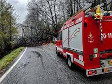 Maltempo nel Torinese - Vigili del Fuoco