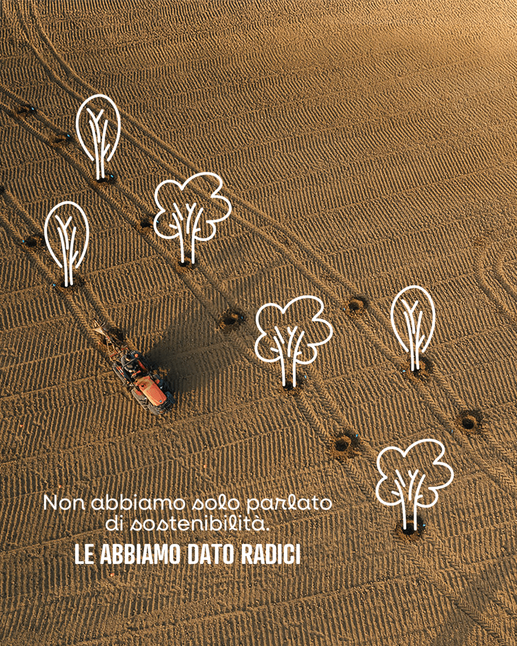 Rispetto per l’ambiente e rimboschimento:Kioene piantuma un nuovo bosco a Campodarsego
